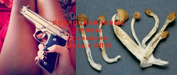 стафф Бронницы