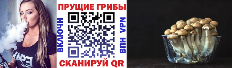 это формула  Гремячинск  Псилоцибиновые грибы Cubensis  где можно купить наркотик 