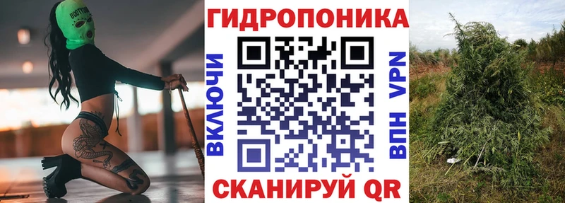 Шишки марихуана SATIVA & INDICA  где найти   Гремячинск 